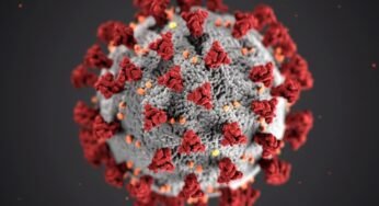 Mutación en virus del COVID-19 lo hace ocho veces más infeccioso
