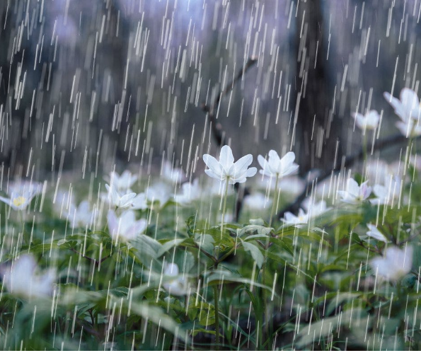 ¿A qué huele la lluvia? Desciframos el olor