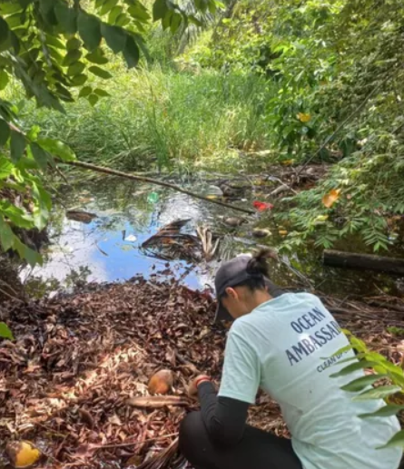 Aumenta la contaminación en Áreas Naturales Protegidas de Quintana Roo