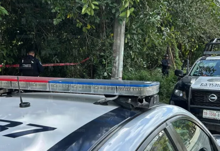 Encuentran cadaver en estado de descomposición en área verde de ‘Los Héroes’ en Cancún