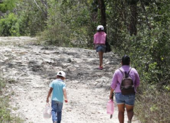 La Migración Extranjera se Dispara en Quintana Roo: El Efecto Inesperado del Tren Maya”