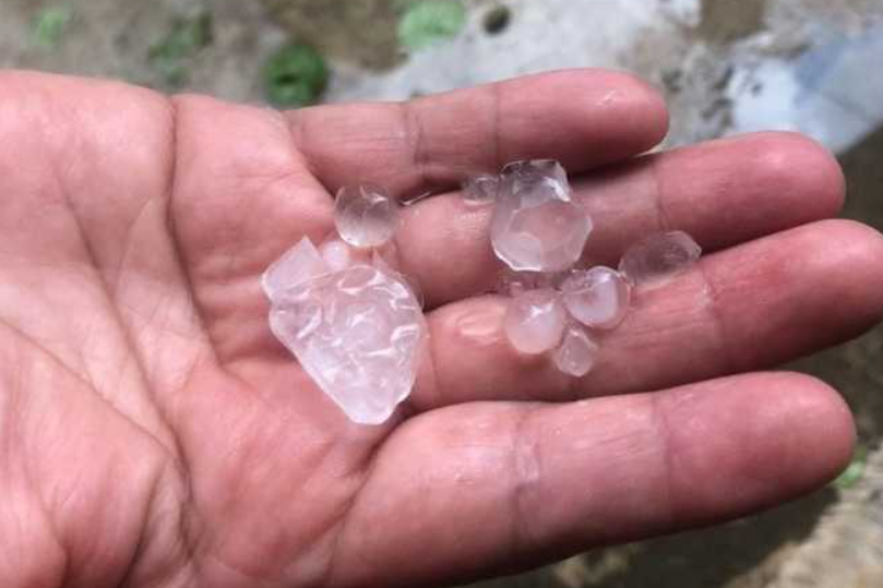 Granizada amenaza la cosecha de limón en la Ruta de las Iglesias