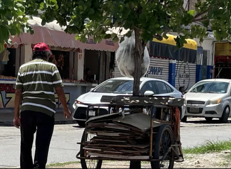 Quintana Roo Invierte Más de 51.6 MDP en “Recicla por tu Futuro” para Fomentar el Reciclaje