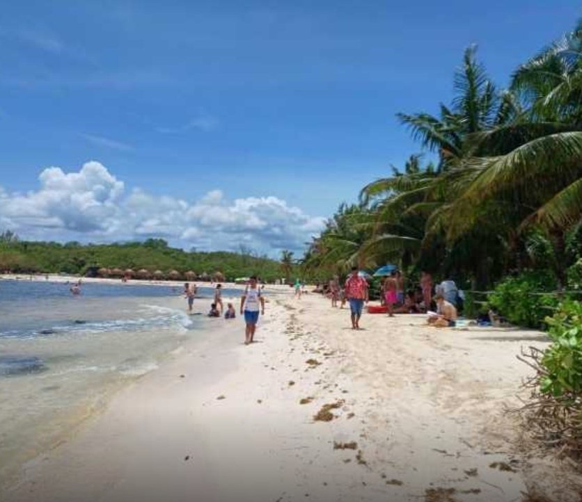 Recuperación de Playas en Playa del Carmen Tras Huracán ‘Beryl’