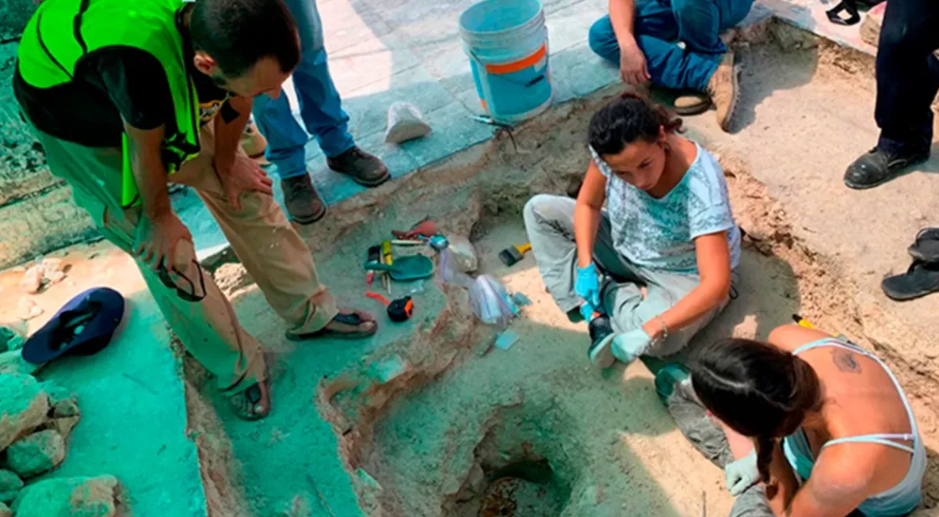 Hallazgos Arqueológicos en el Tramo 4 del Tren Maya: Revelan Riqueza de la Cultura Maya