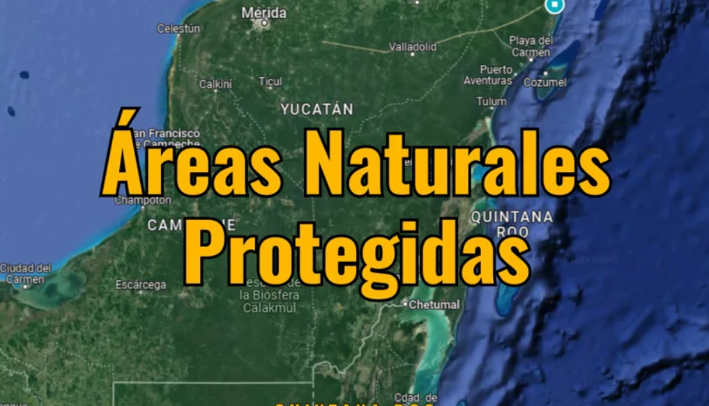 Quintana Roo Podría Ampliar su Red de Áreas Naturales Protegidas con Nueva Declaratoria Presidencial.