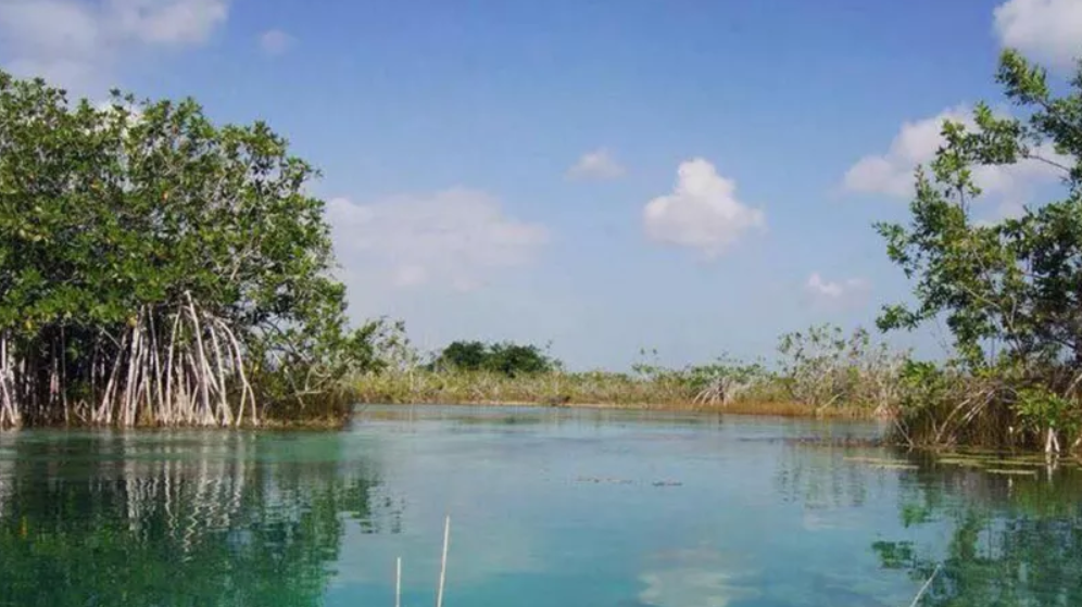 Laguna de Bacalar en Riesgo: Urge Mantenimiento y Conservación para Evitar su Deterioro