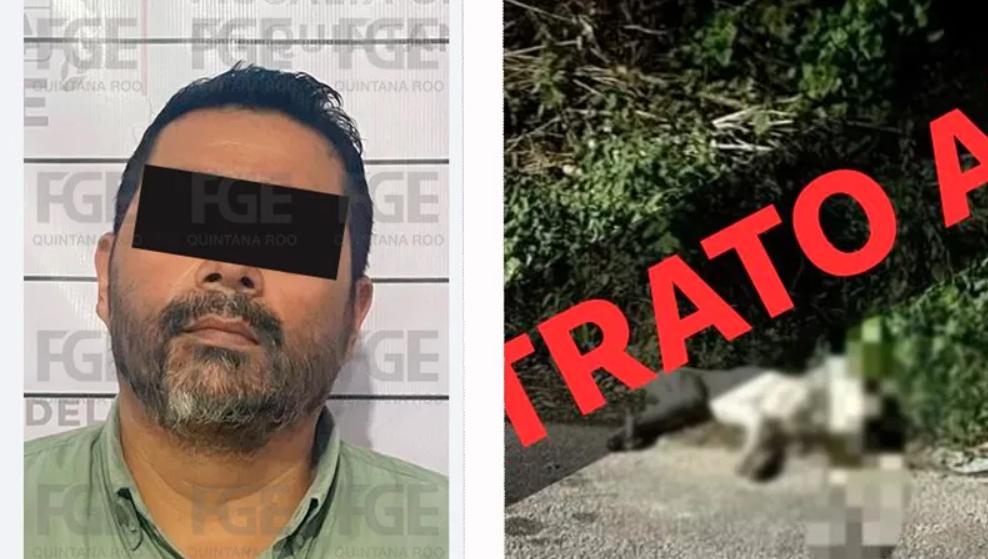 Detienen en Chetumal a hombre que mató a su propio perro a golpes con un bate