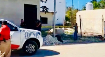 Tragedia en Tulum: Trabajador muere al caer desde tercer piso en obra de la colonia Maya Pax